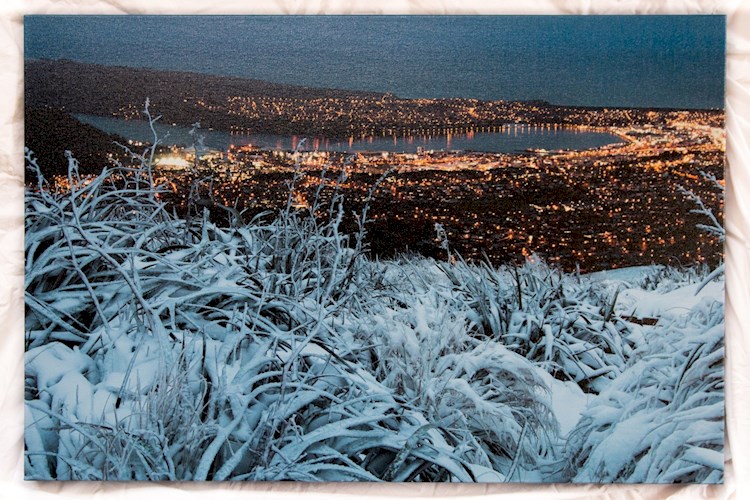 Canvas Print_20x30inch-9068.jpg